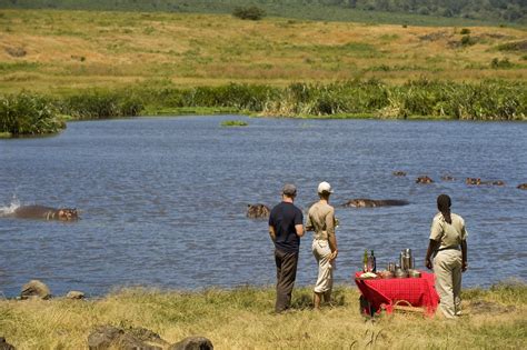 SD Safari – Ngorongoro 0