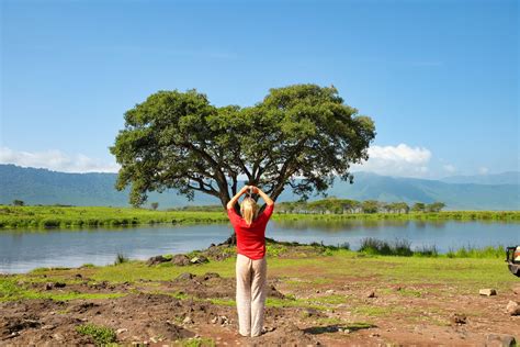 SD Safari – Ngorongoro 1