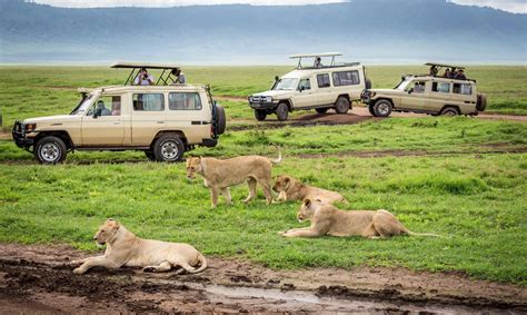 SD Safaris – Ngorongoro 004
