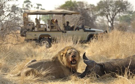 SD Safaris – Ruaha 06