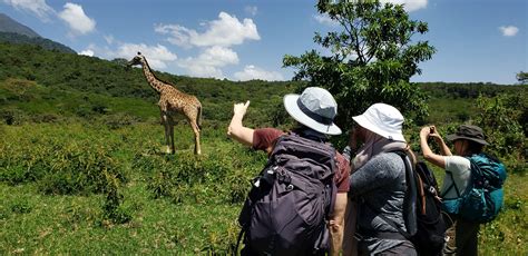SD Safaris – arusha 0001