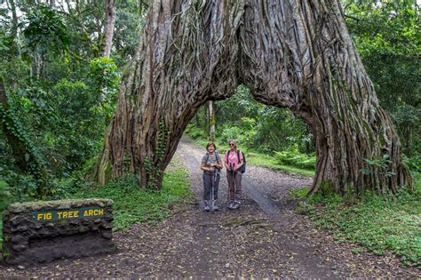 SD Safaris – arusha 008