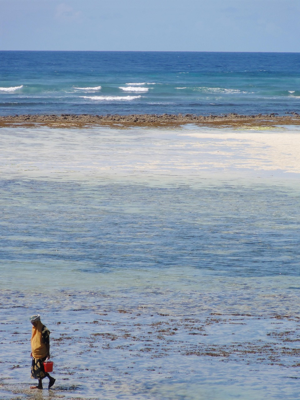 tanzania, nature, collect shells, water, sea, surf, kanga