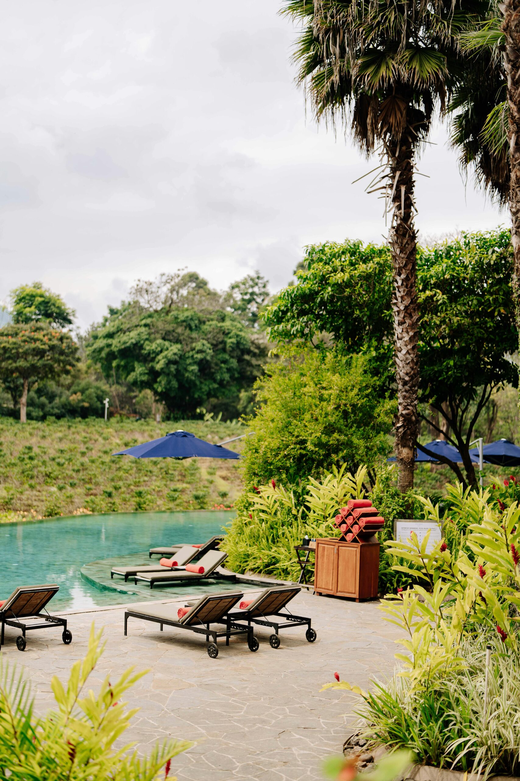 Tropical resort in Arusha, Tanzania, featuring a serene poolside with lush greenery and palm trees.